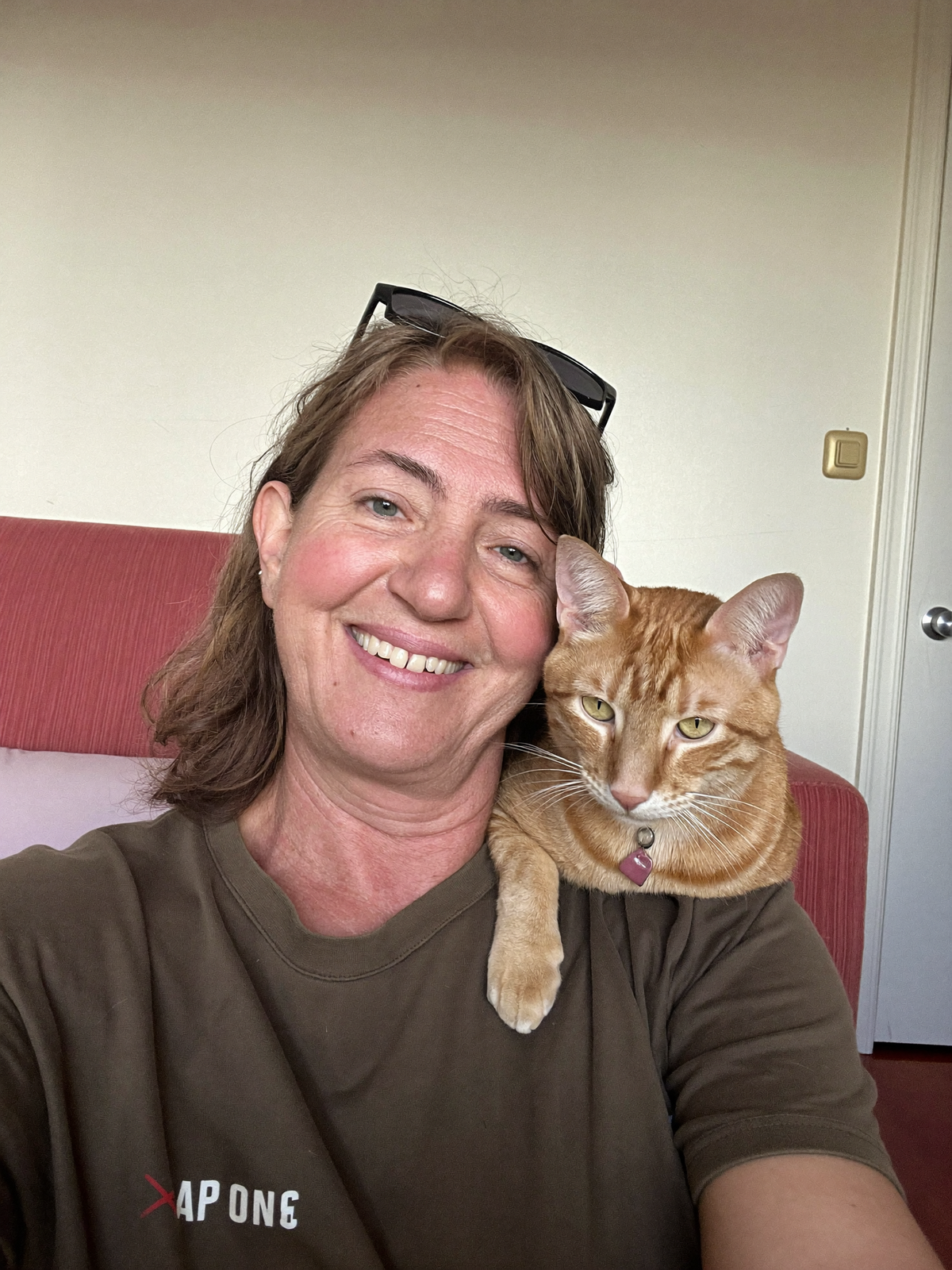 Lifestyle image of a cat and owner at home