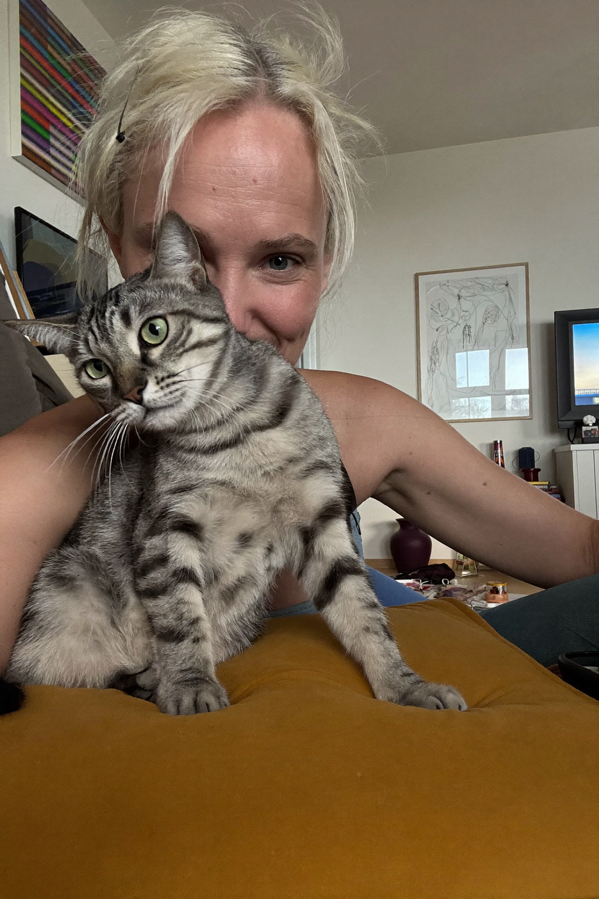 Lifestyle image of a cat and owner at home